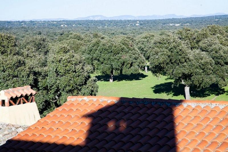 Cortijo Charcollana Villa Pozoblanco Eksteriør billede