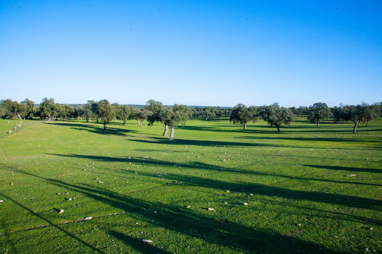 Cortijo Charcollana Villa Pozoblanco Eksteriør billede